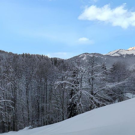Appartement Confortable Avec Vue Sur La Montagne นอเทรอ-ดาม-เด-เบลล์คอมบ์ ภายนอก รูปภาพ